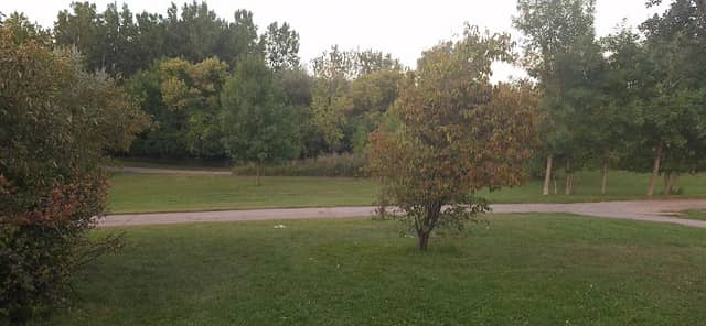 Kiwanis Mary Hall Park - Image 1