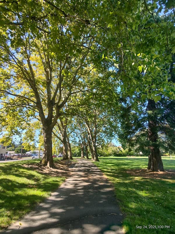 Bard Park - Image 2