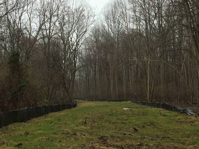 Piscataway Sanctuary - MD Ornithological Society - Image 1