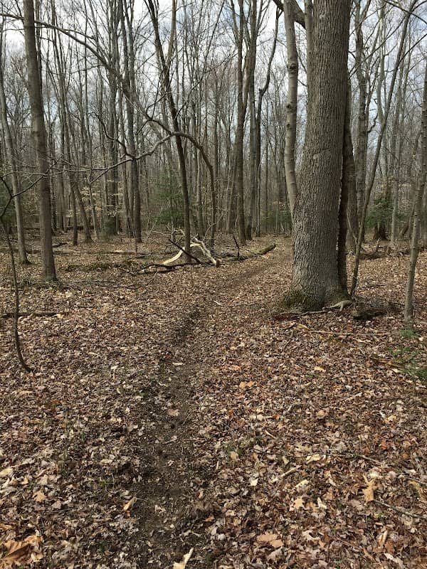 Piscataway Sanctuary - MD Ornithological Society - Image 2