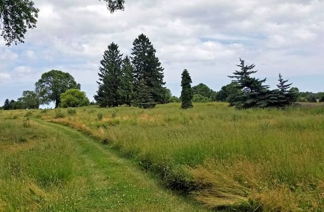 Van der Brohe Arboretum - Image 2