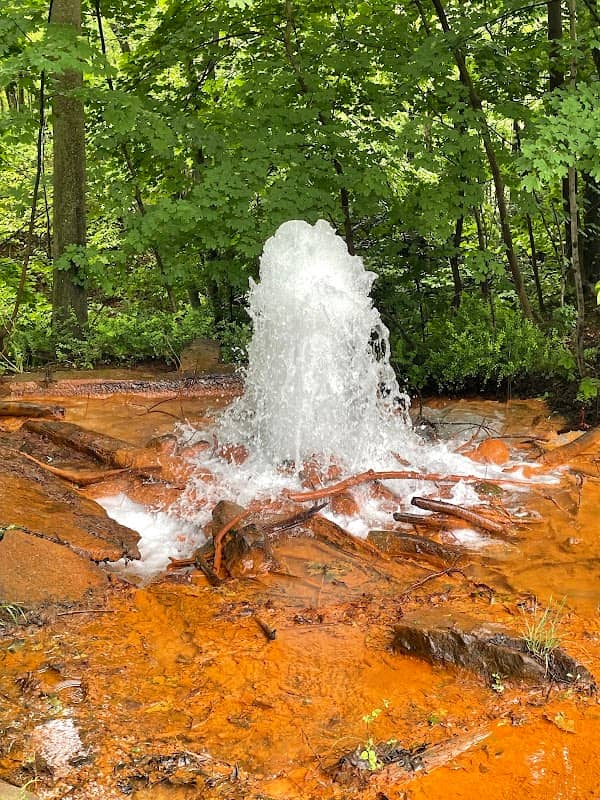 Big Mine Run Geyser - Image 1