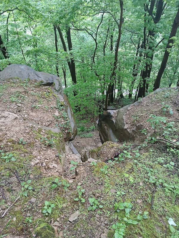 Sue Ann Miller Trailhead - West Fork River Trail - Image 1