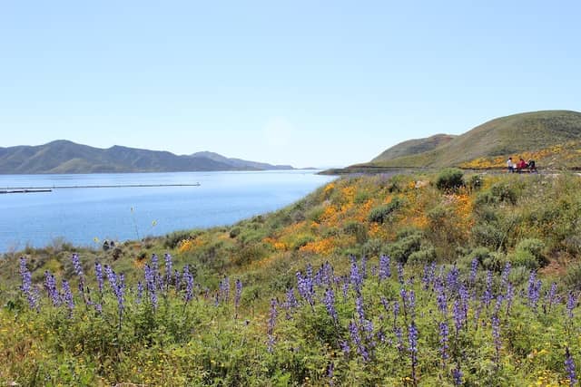 Wildflower Trail - Image 3