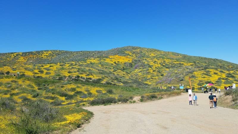 Wildflower Trail - Image 1