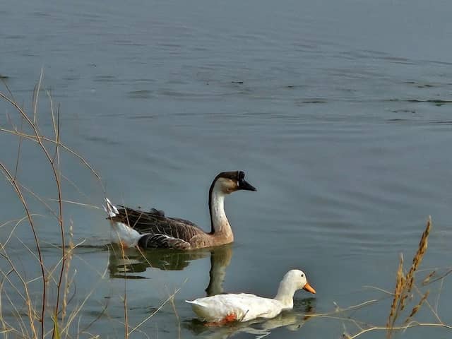 Lake Park - Image 2