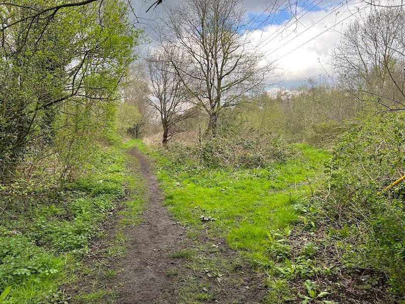Grant’s Moor - Image 2