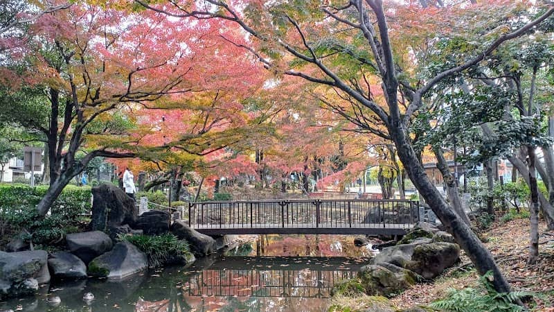 Mabashi Park - Image 2