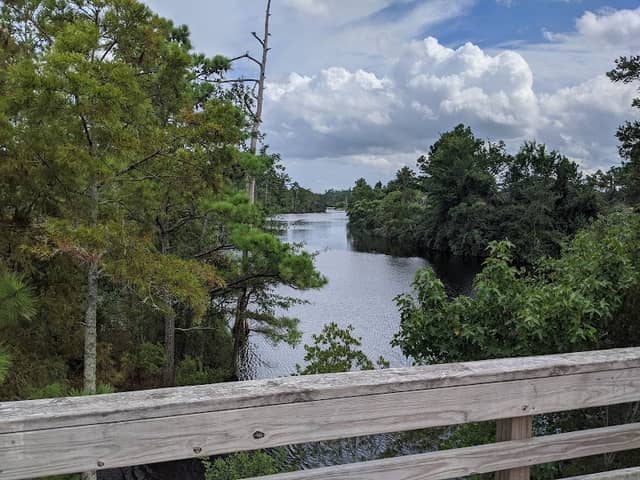 Sandy Run Park - Image 2
