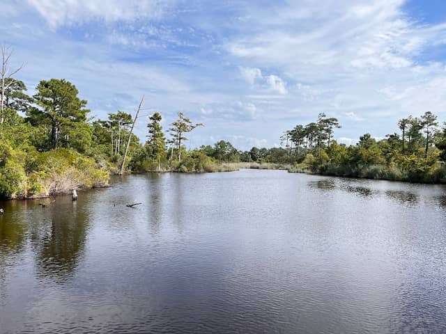 Sandy Run Park - Image 1