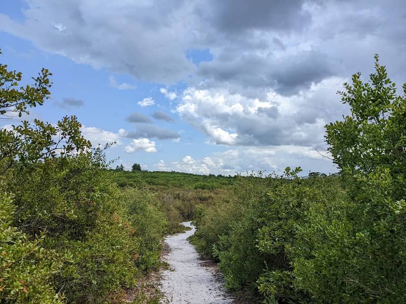 Lyonia Preserve - Image 1