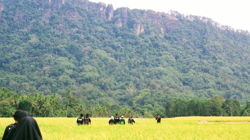 Desa Wisata Pagaruyung - Image 1