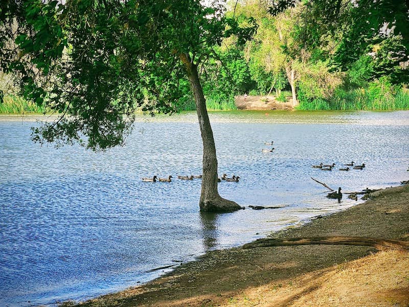Steed Park - Image 1