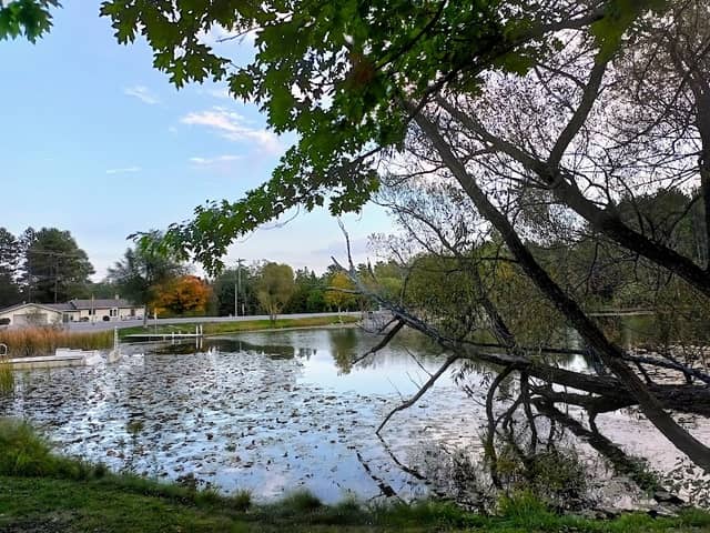 Atlanta Park - Image 1