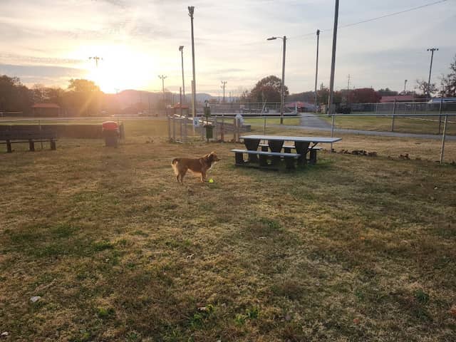 Stanton Dog Park - Image 1