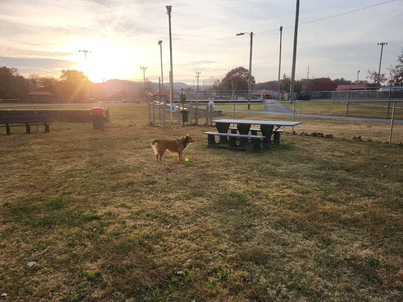 Stanton Dog Park - Image 1