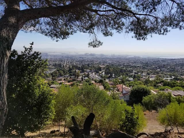 Frog Pond Park - Image 1