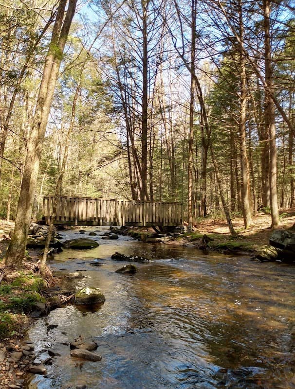 McKinstry Brook Wildlife Management Area - Image 2