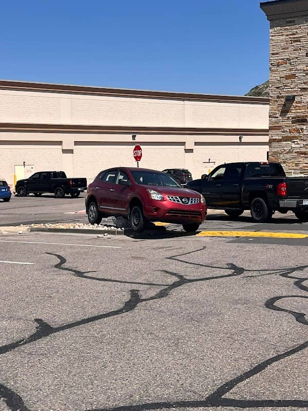 Sprouts Rock - Image 2