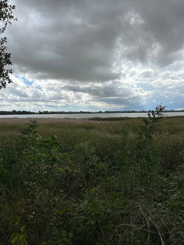 Old Mill Trail - Image 2