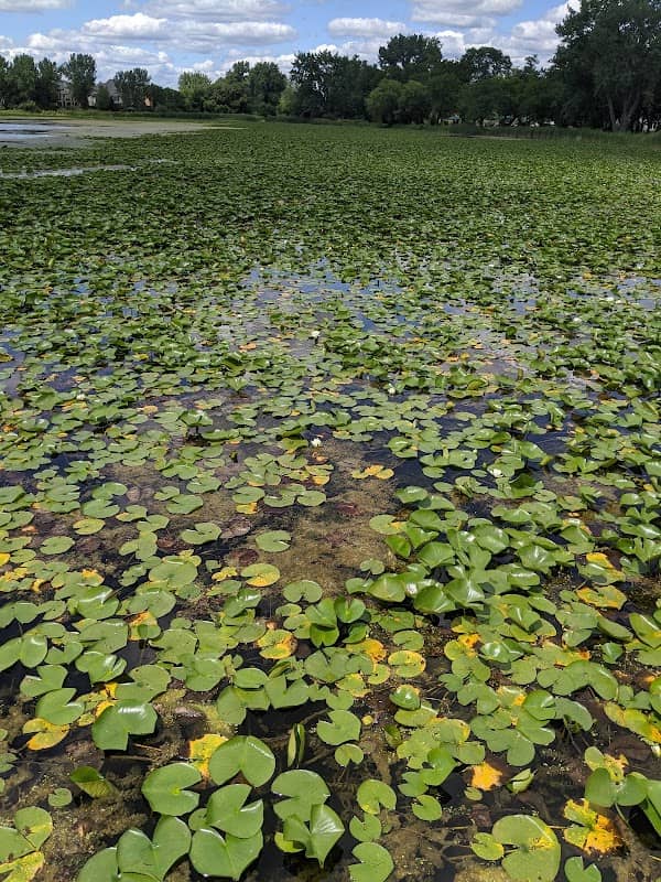 Lake Charles Park - Image 2