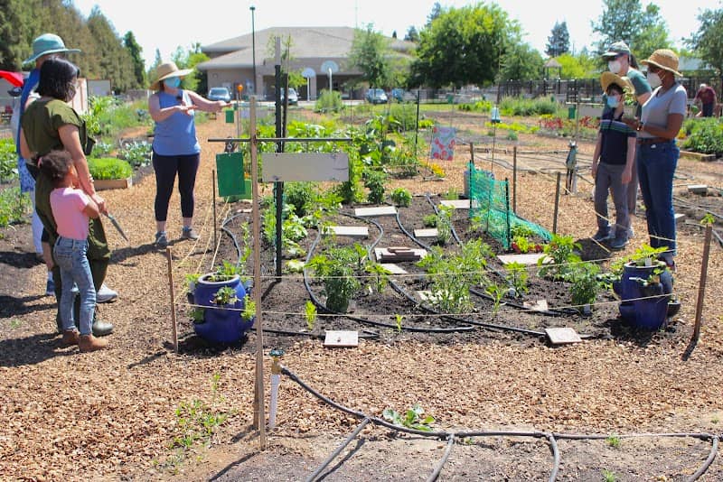 Turlock Community Gardens - Image 1