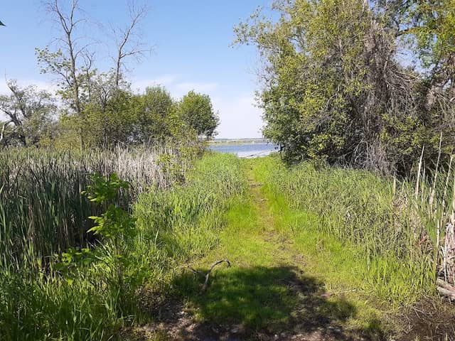 One Mile Island Trail Head and Parking - Image 2