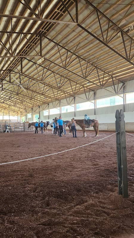Harris Riding Academy - Image 2