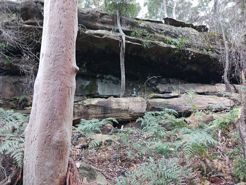 Casuarina Track - Image 2