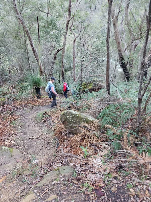 Casuarina Track - Image 1