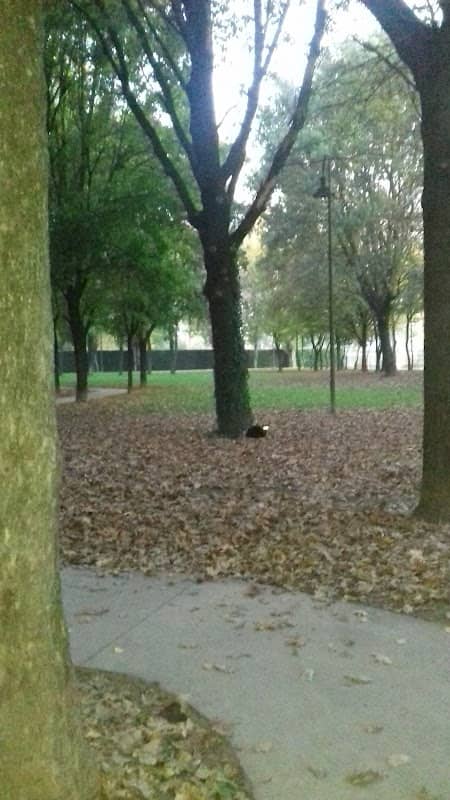 Parco Pubblico Città di Selvazzano Dentro - Image 1