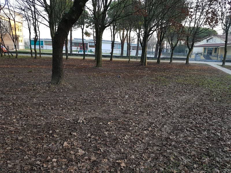 Parco Pubblico Città di Selvazzano Dentro - Image 2