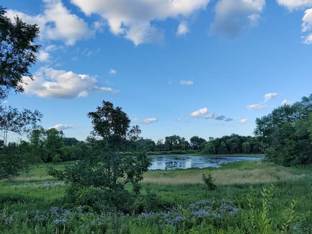 Meadows Park - Image 3