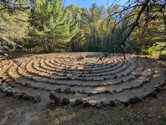 The Sacred Grove - Image 1