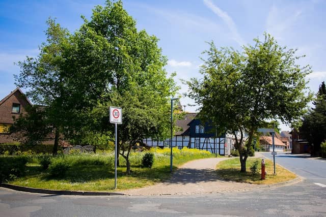 Blühwiese am Thie - Image 1