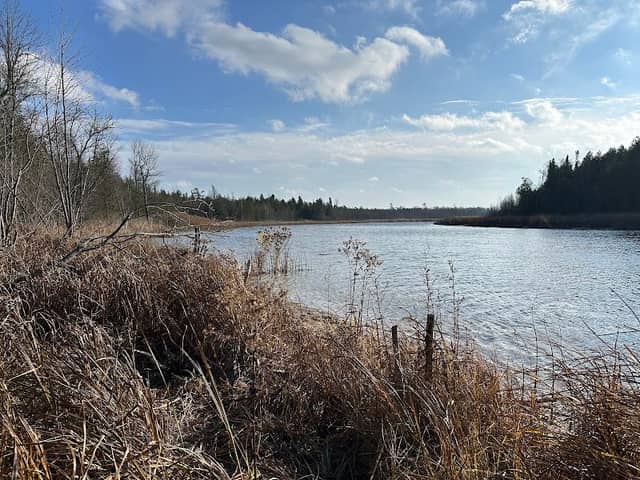 Mink River Preserve - Image 1