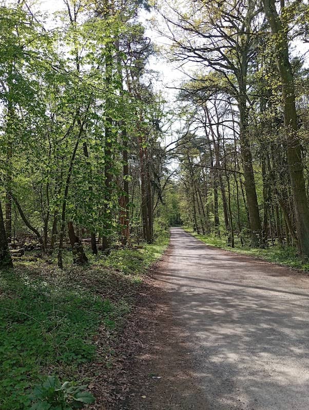 Rezerwat przyrody Sokółki - Image 1