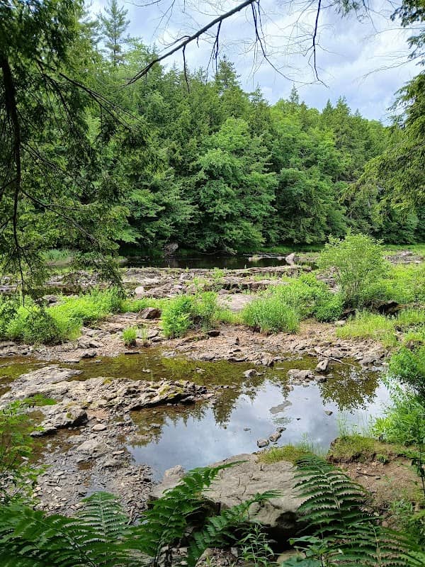 Contoocook River Park Trails - Image 2