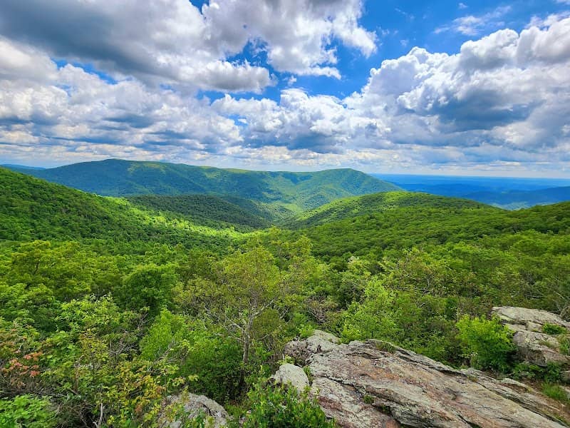 Bearfence Mountain - Image 1