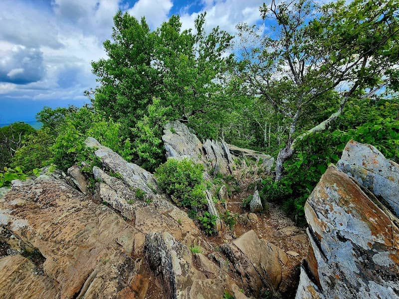 Bearfence Mountain - Image 2