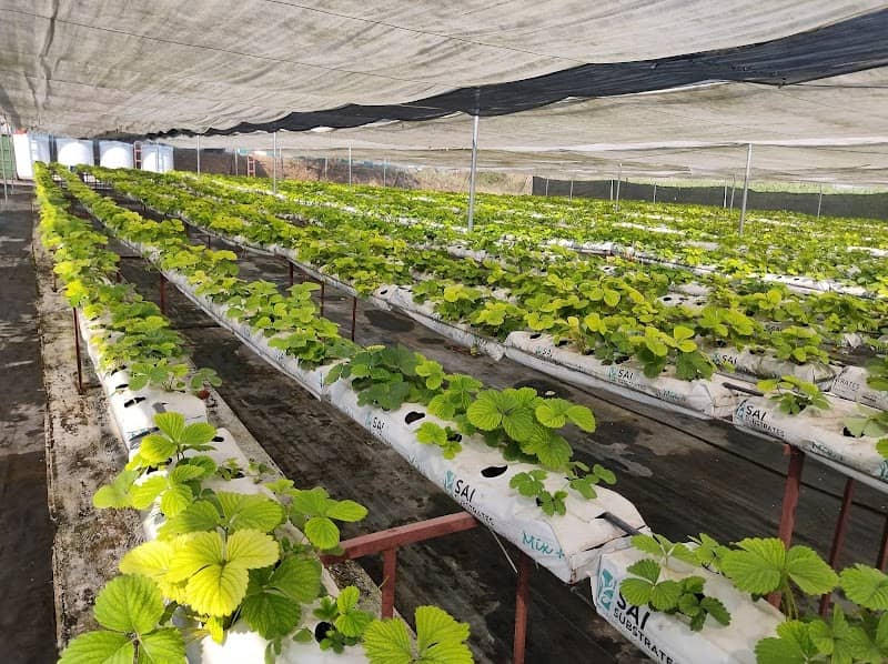 Hydro Farms - Image 1