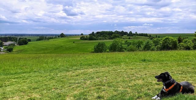 Aussicht Oberstotzingen - Image 1