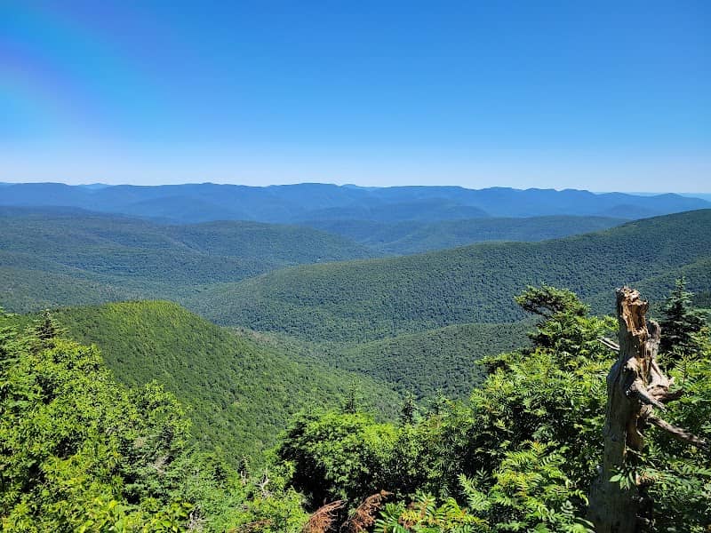Slide Mountain Wilderness - Image 3