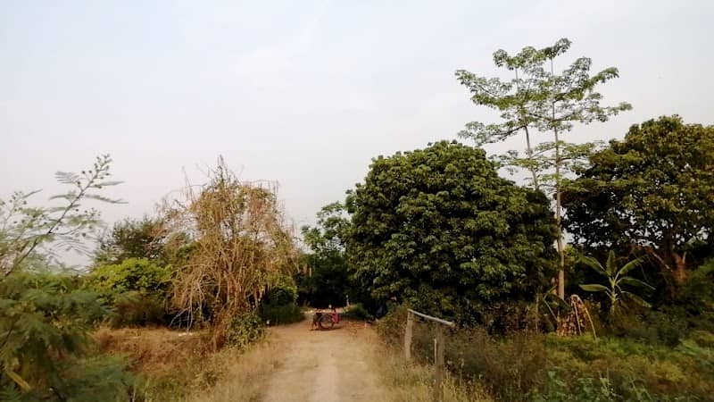 สวนมะปรางสปาย - Image 1