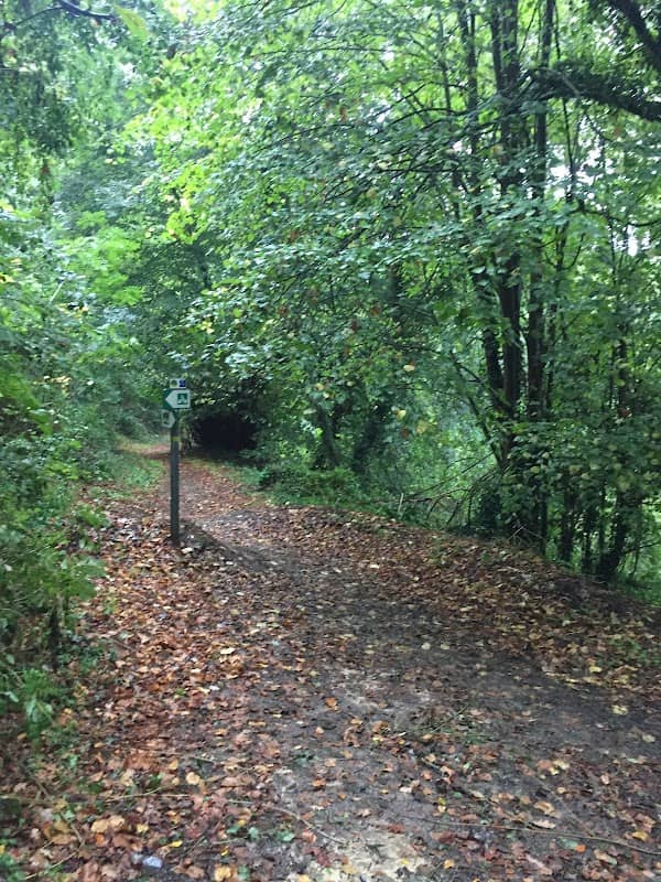 Cave Woods - Image 1