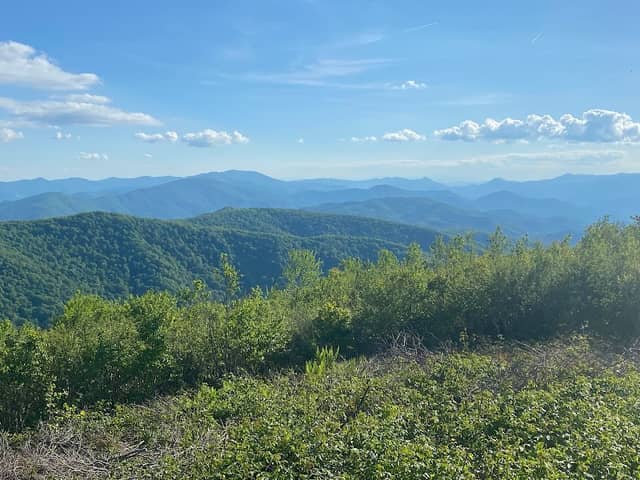 Unaka Mountain Wilderness Area - Image 1