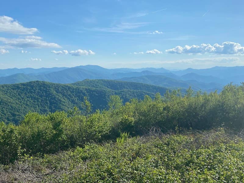 Unaka Mountain Wilderness Area - Image 1