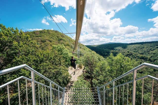 Tree-top cable car Bad Harzburg - Image 1