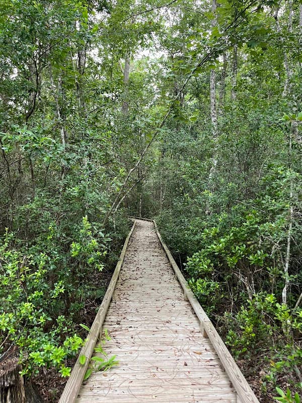 Bells Ferry Unit of the Wolf River Coastal Preserve - Image 2
