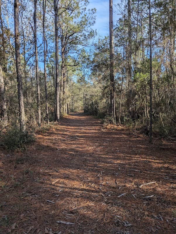 Bells Ferry Unit of the Wolf River Coastal Preserve - Image 3